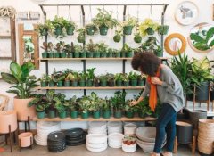 140+ Catchy Plant Shop Names to Inspire Your Green Business