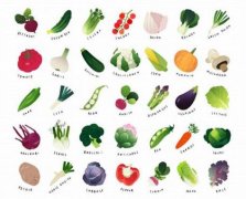 Comprehensive List of 1000 Vegetable Names